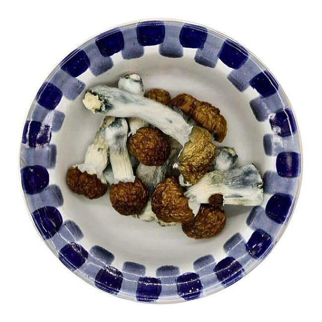 Blue Pulaski Magic Mushrooms