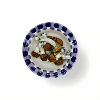 Blue Pulaski Magic Mushrooms