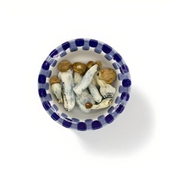 Gold Member Magic Mushrooms